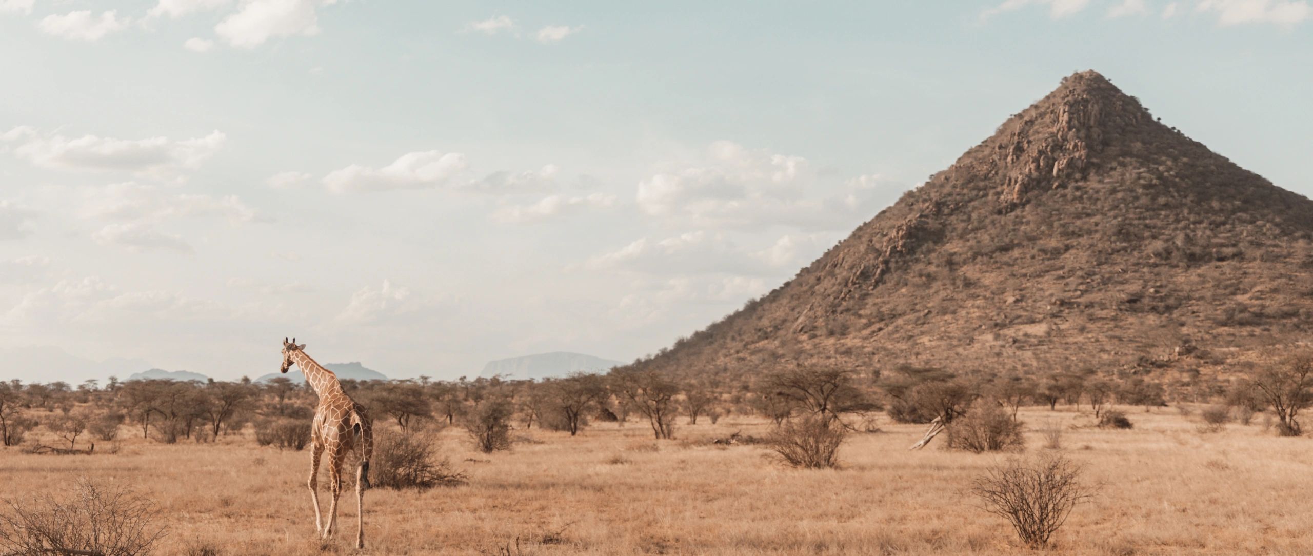 Panoramic landscape in Kenya with distant hills