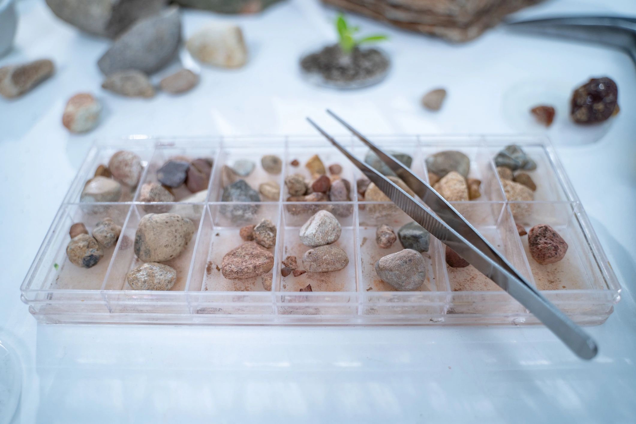 Geology lab setting with rock sample analysis